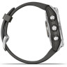 Часы GARMIN FENIX 7S SILVER WITH GRAPHITE BAND 11158